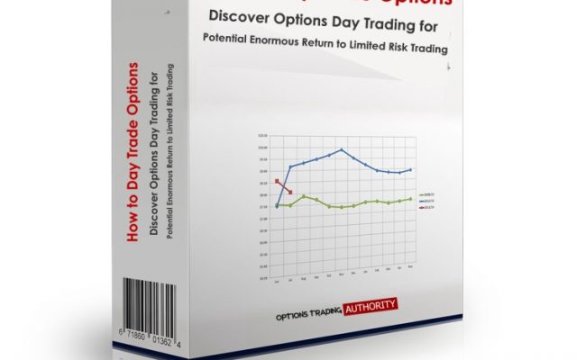 How to Day Trade Options logo box